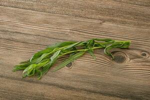 Green tarragon herb spice for cooking photo