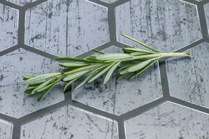 Rosemary branch - organic spicy herb photo