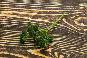 Green parsley leaves heap isolated photo