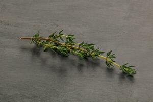 Aroma seasoning thyme stem with leaves photo
