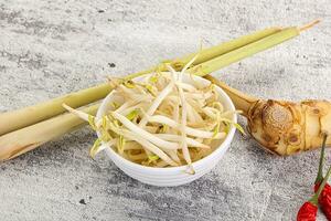 Asian cuisine Mash bean sprout photo