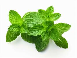 AI generated Mint leaf. Fresh mint on white background. Mint leaves isolated. Full depth of field. photo