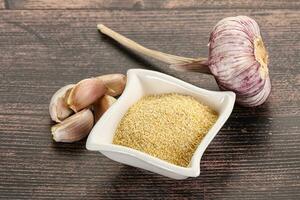 Dry granulated garlic aroma seasoning photo