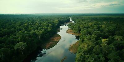 ai generado generativo ai, amazónico selva brumoso paisaje, tropical selva con palma arboles foto