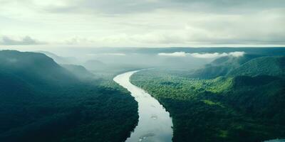 AI generated Generative AI, Amazonian jungle foggy landscape, tropical rainforest with palm trees photo