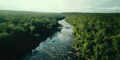 AI generated Generative AI, Amazonian jungle foggy landscape, tropical rainforest with palm trees photo