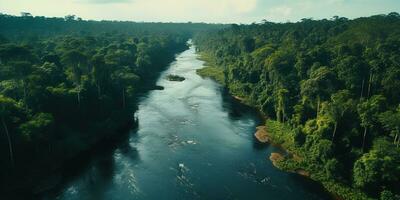 AI generated Generative AI, Amazonian jungle foggy landscape, tropical rainforest with palm trees photo