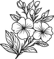 Outline print with blossoms Periwinkle flower, Catharanthus roseus bouquet leaves, and buds, noyontara flower tattoo drawing, Sada bahar tattoo black and white vector