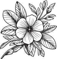 Delicate Madagascar periwinkle tattoo. periwinkle vector illustration, beautiful marigold flower bouquet, hand-drawn coloring pages and book of artistic, blossom flowers vinca, engraved ink art