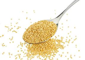 Mustard seeds in spoon isolated on white photo