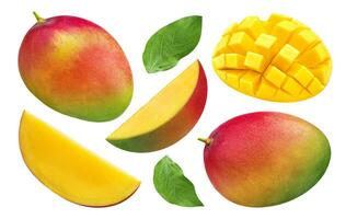 Mango collection isolated on white background with clipping path photo