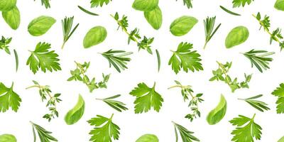 Different spices and herbs seamless pattern isolated on white background, top view photo
