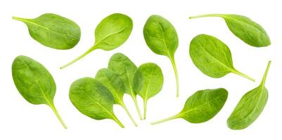 Spinach leaves isolated on white background with clipping path, collection photo