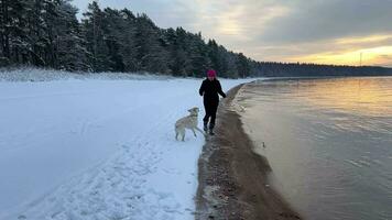 winters oever van het meer gelukzaligheid met hond metgezel video