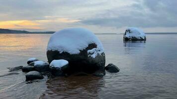 invernale in riva al lago beatitudine con cane compagno video