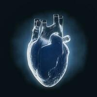 Human Heart Anatomy Internal Organ X-Ray Hologram View. 3d Rendering photo