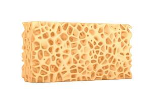 Sponge Bone Structure Medical Texture Block. 3d Rendering photo