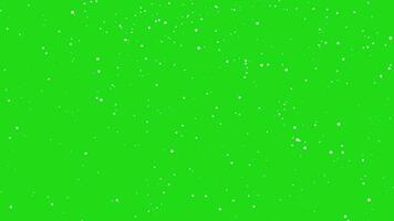 Snow fall video on transparent background