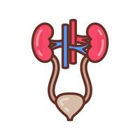 Urinary System icon in vector. Logotype vector