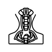 vasculatura de pelvis icono en vector. logotipo vector