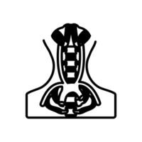 vasculatura de pelvis icono en vector. logotipo vector