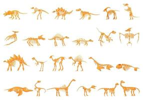 Dinosaur skeleton icons set cartoon vector. Pedestal fossil ancient vector