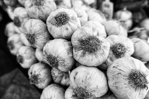 Garlic in a market photo