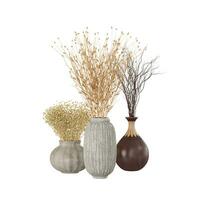 Realistic 3D Rendering of three Dry Bouquets in three types of vases photo