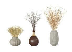 Realistic 3D Rendering of three Dry Bouquets in three types of vases photo