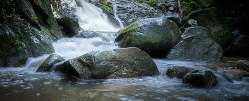 Waterfall is flowing in jungle. Waterfall in green forest. Mountain waterfall. Cascading stream in lush forest. Nature background. Rock or stone at waterfall. Water sustainability. Water conservation. photo