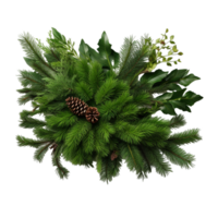 AI generated Christnas garland fir tree branches png