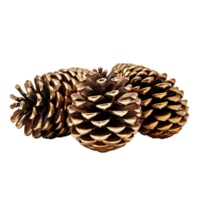 AI generated Three Natural Pine Cones Christmas Decoration png