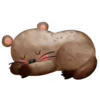 Cute sleeping groundhog isolated png