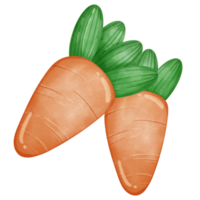 A pair of carrots png