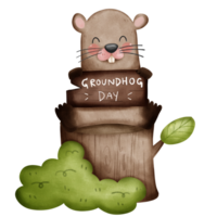 fofa marmota sentado em madeira toco mostrando uma marmota dia de madeira placa png
