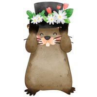 Groundhog wearing top hat decorated with white flowers isolated png