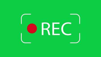 Animated camera recording sign symbol icon motion graphic isolated on green screen background video