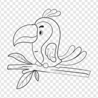 Hand drawn doodle Funny cute exotic hand drawn childish character of toucan  on branch. Design can be used for fashion t-shirt, greeting card, baby shower. vector