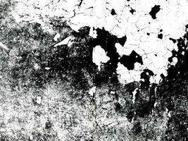 Grunge vector background. Urban old peeled wall. photo