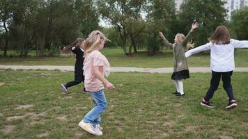 grupo de contento niños muchachas jugando alegría en primavera o verano parque juntos video