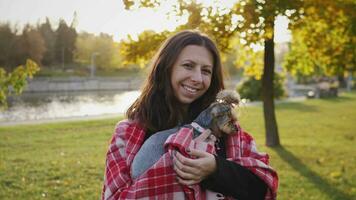 lindo mulher retrato sorridente e segurando dela pequeno yorkie cachorro 4k video