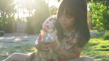 fofa menina com vermelho gatinho. uma pequeno gatinho dentro a braços do uma pequeno garota. uma criança detém uma vermelho gato com ternura e amor e sorrisos alegremente dentro a quintal ao ar livre dentro a luz solar. video