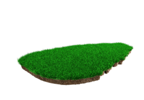 Sri Lanka Map Grass and ground Ceylon Map texture 3d illustration png