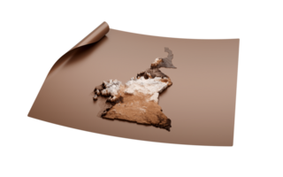 mapa do Camarões velho estilo Castanho em desenrolado mapa papel Folha , 3d ilustração png