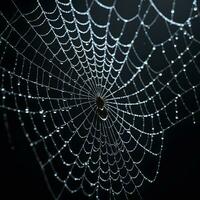 AI generated Spider Web Isolated in Black Background Ai Generative photo