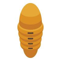 Ovum insect cocoon icon isometric vector. Evolution stage vector