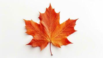 AI generated Maple Leaf Isolated on the White Background photo