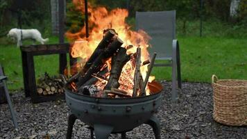 brûlant Feu fosse. content fin de semaine feu de camp activité. video