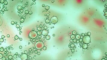 El aceite de comida colorido abstracto cae burbujas y esferas que fluyen en la superficie del agua foto