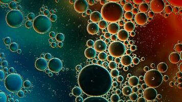 Abstract Colorful Food Oil Drops Bubbles and spheres Flowing on Water Surface photo